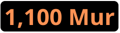 1100Mur
