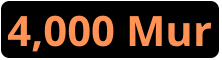4000